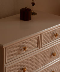 Meubelknop | Tommy Turtle