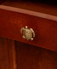 Meubelknop | Tommy Turtle