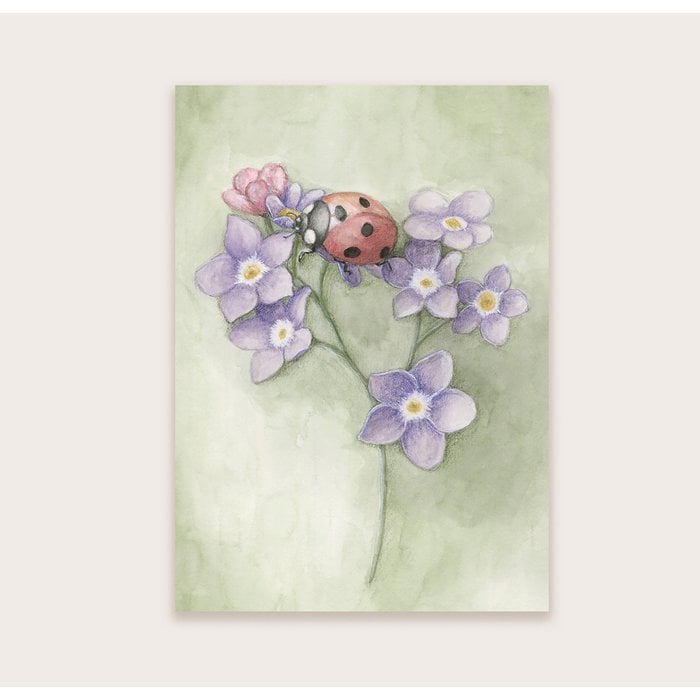 Wenskaart | Lieveheersbeestje met bloemen