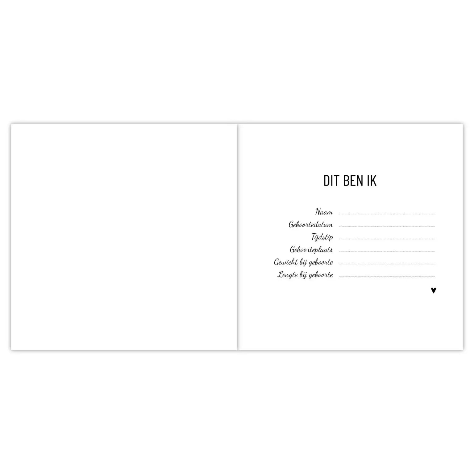 Invulboek | Babyboek | Mijn eerste jaar