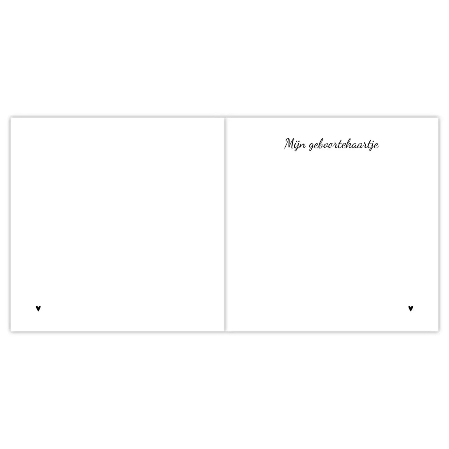 Invulboek | Babyboek | Mijn eerste jaar