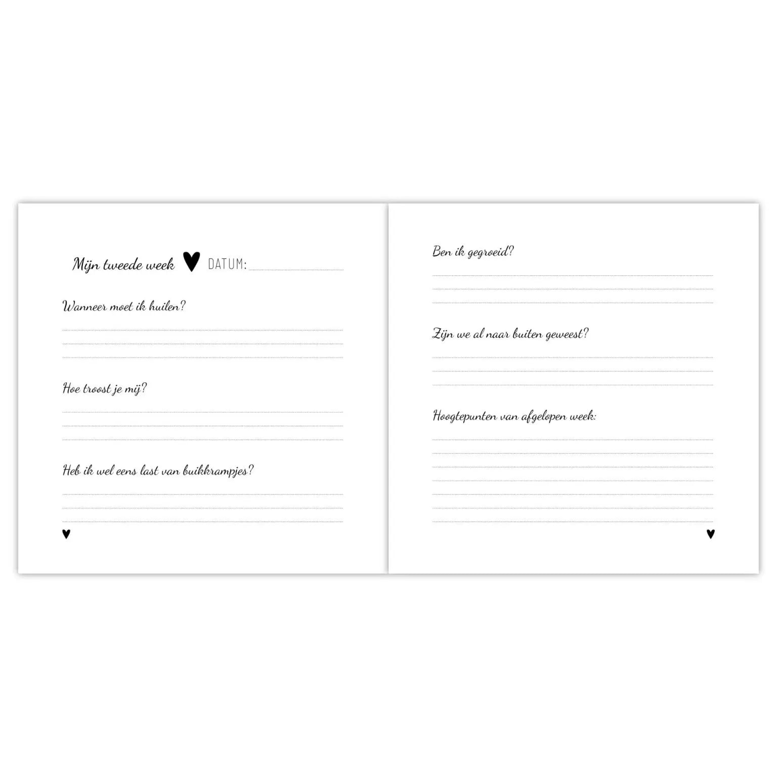 Invulboek | Babyboek | Mijn eerste jaar