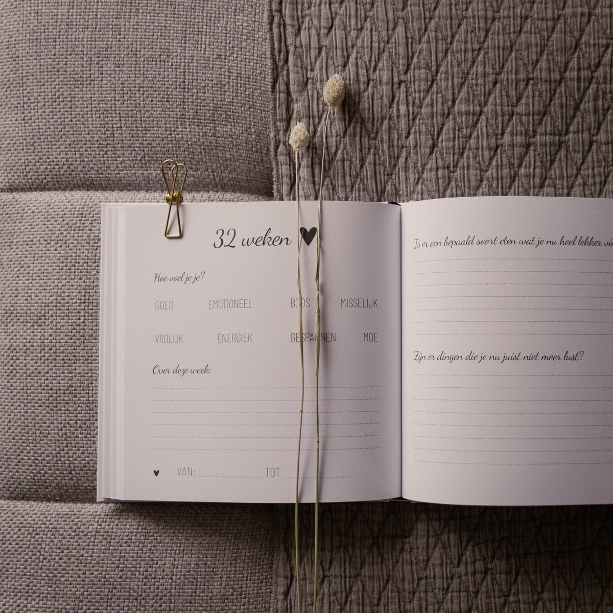 Invulboek | Zwanger | Mijn 9 maanden dagboek