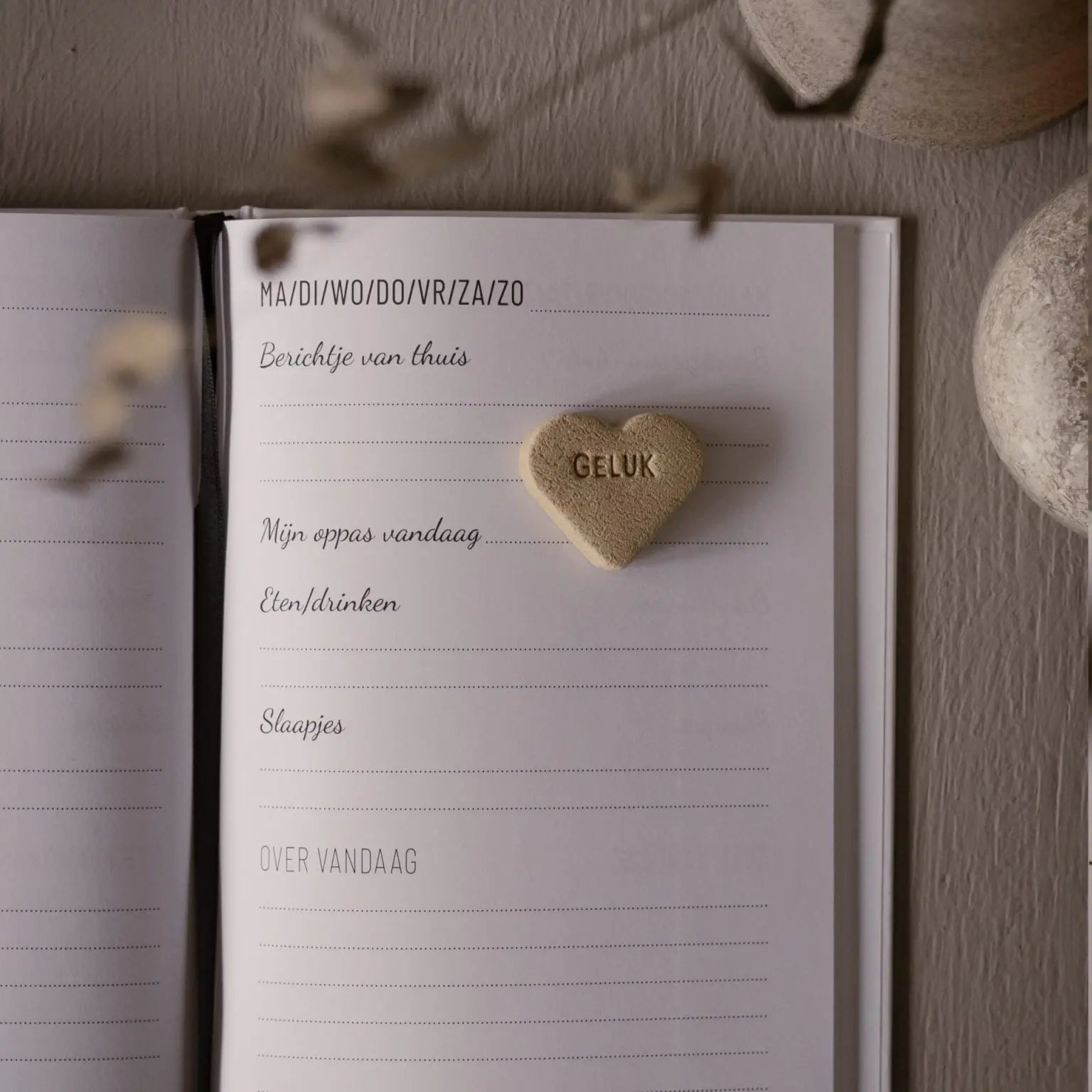 Invulboek | Oppas | Zo was mijn dag