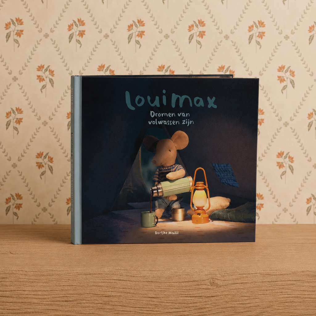 Maileg | Prentenboek | Dromen van volwassen zijn