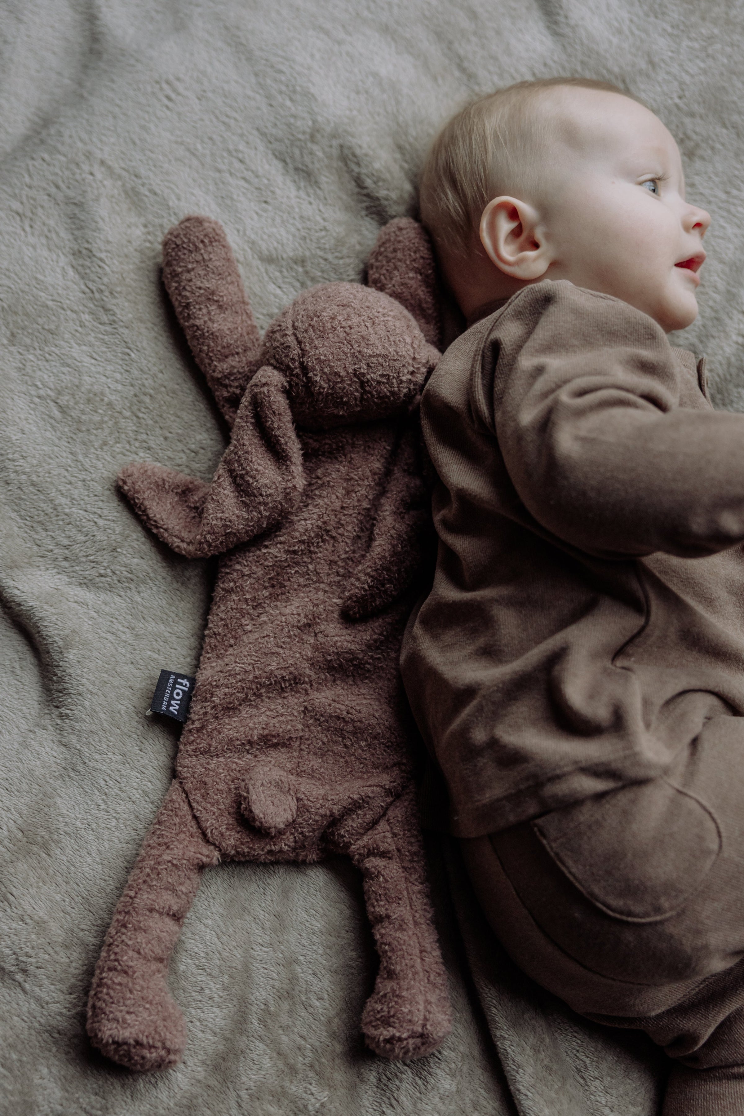 Pre-order | Warmteknuffel | Konijn Milo | Chocolate