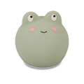 Nachtlampje | Frey the frog