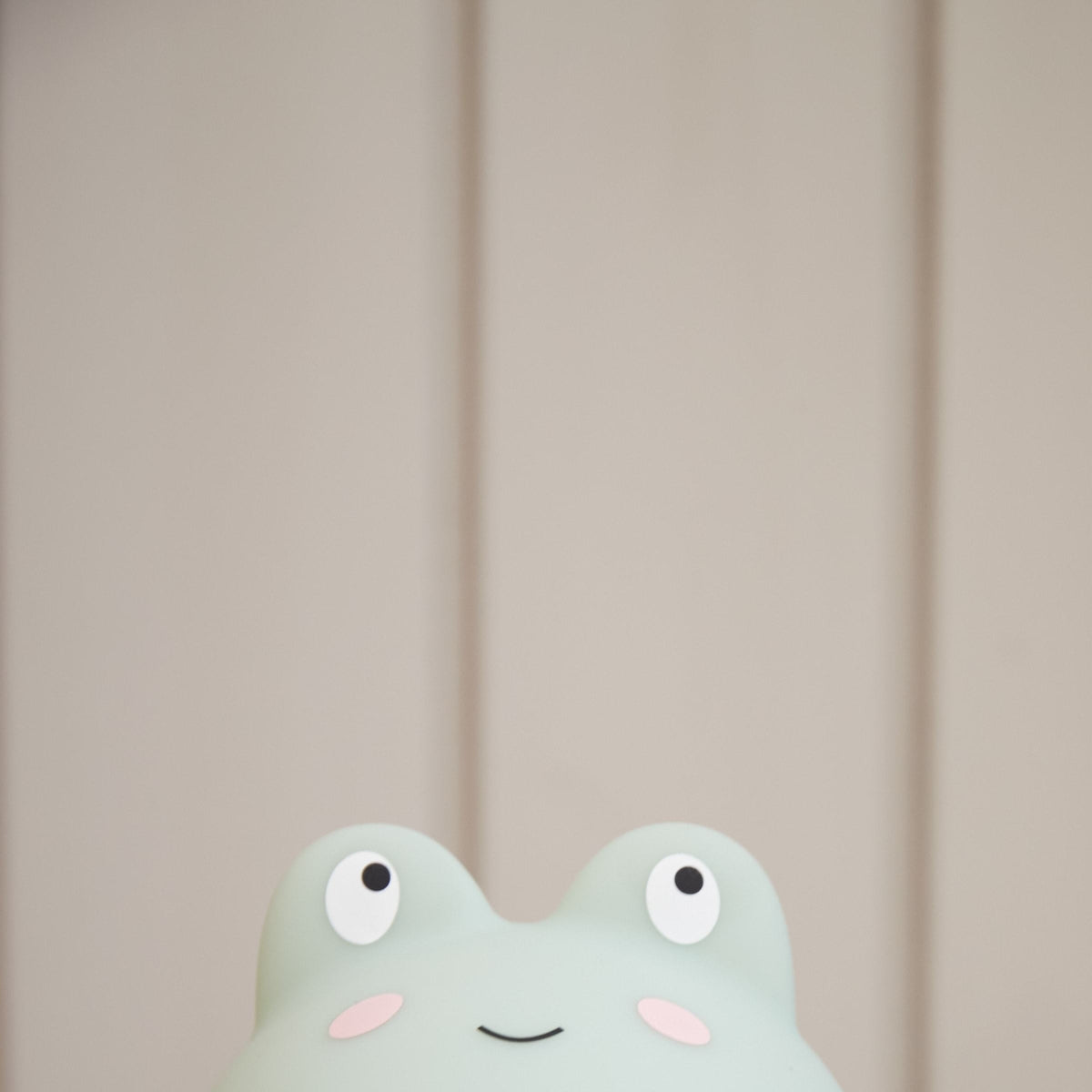 Nachtlampje | Frey the frog
