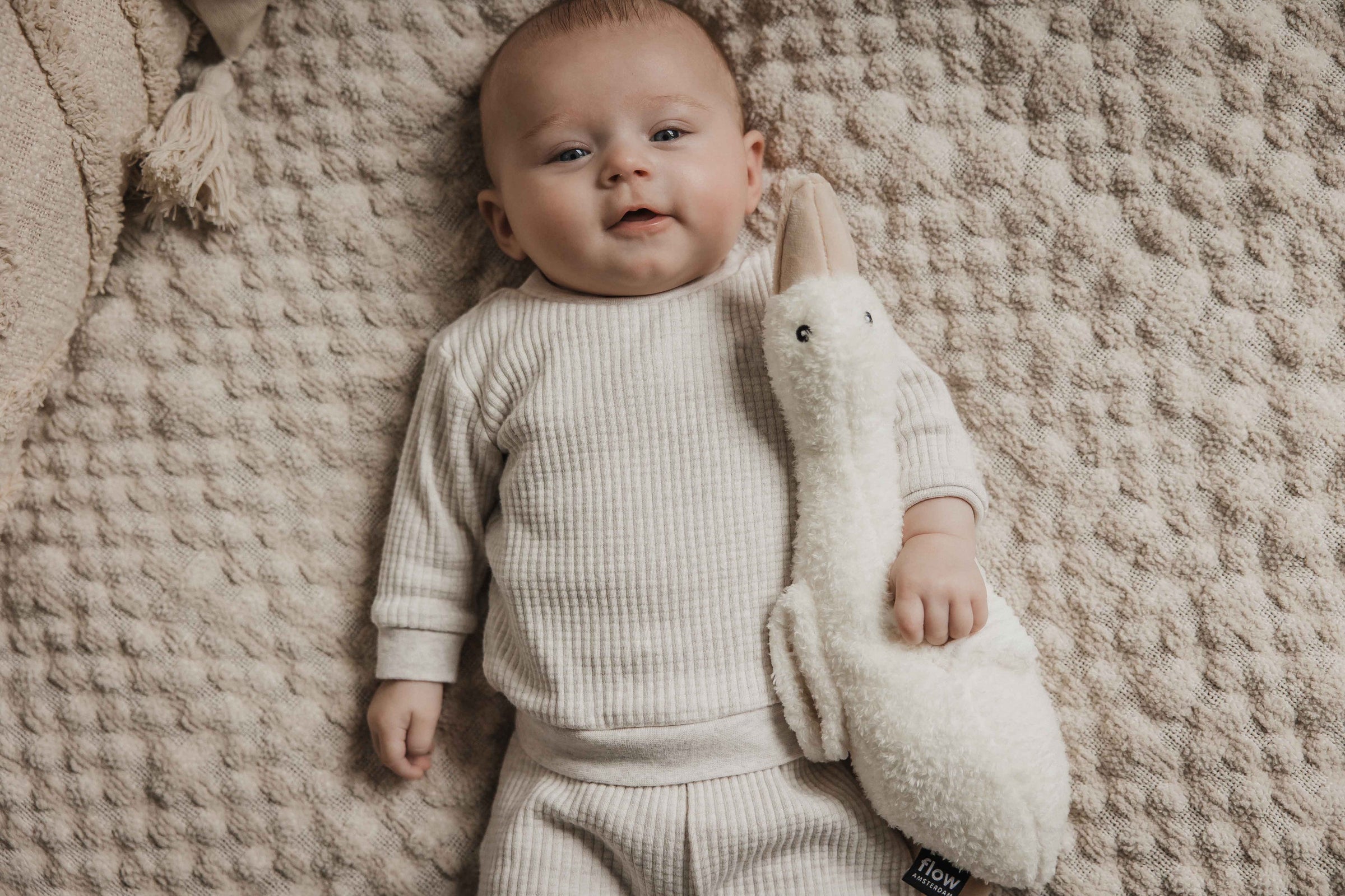 Pre-order | Oplaadbare hartslagknuffel | Gans Liva