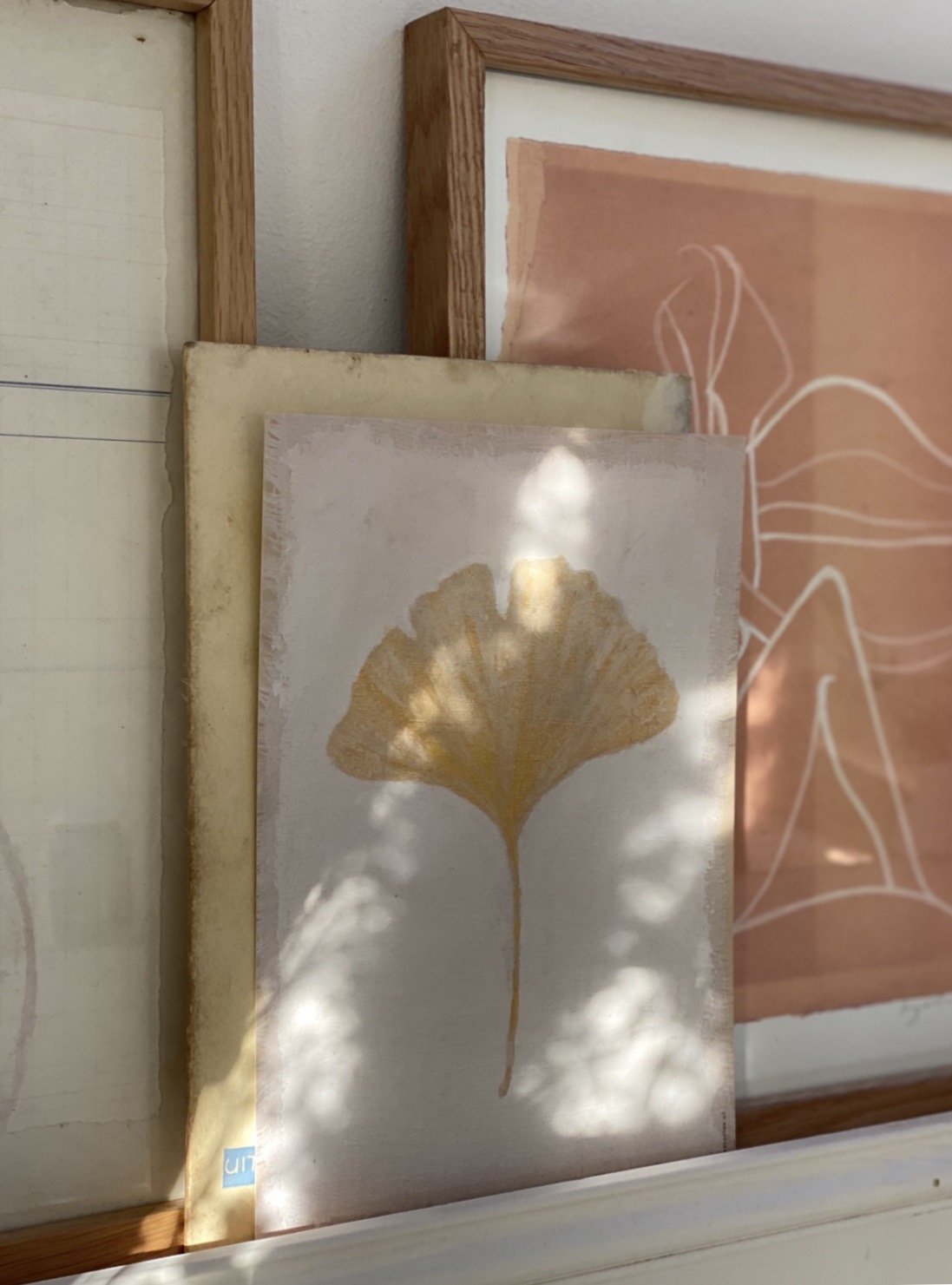 Art print | Gingko | A5