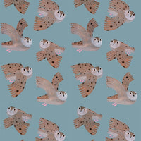 Behang | Owl | 100 x 320 cm | Sky blue