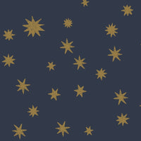 Behangstaal sterrennacht | Blauw | Joëlle Wehkamp