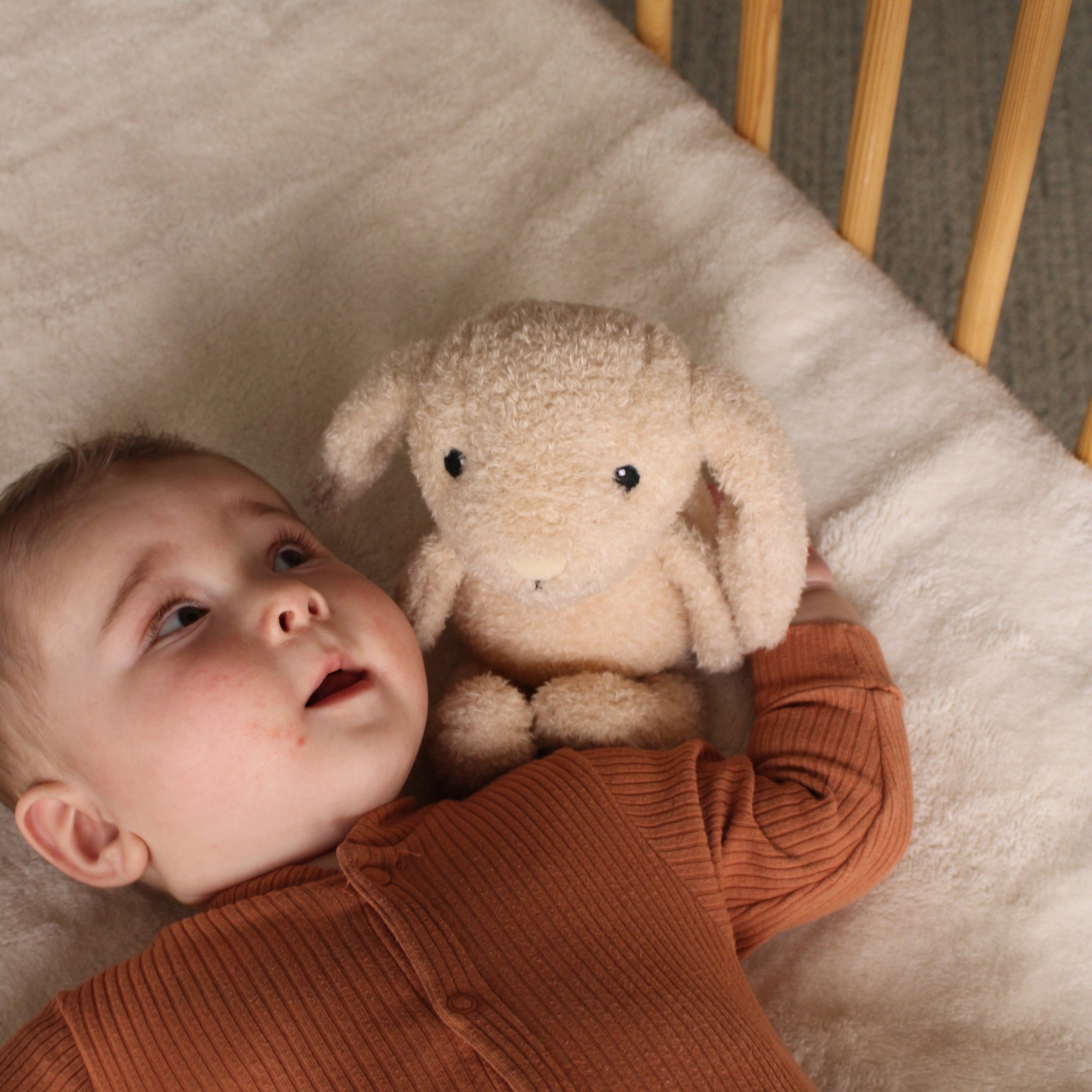 Pre-order | Knuffellampje | Konijn Milo | Oat