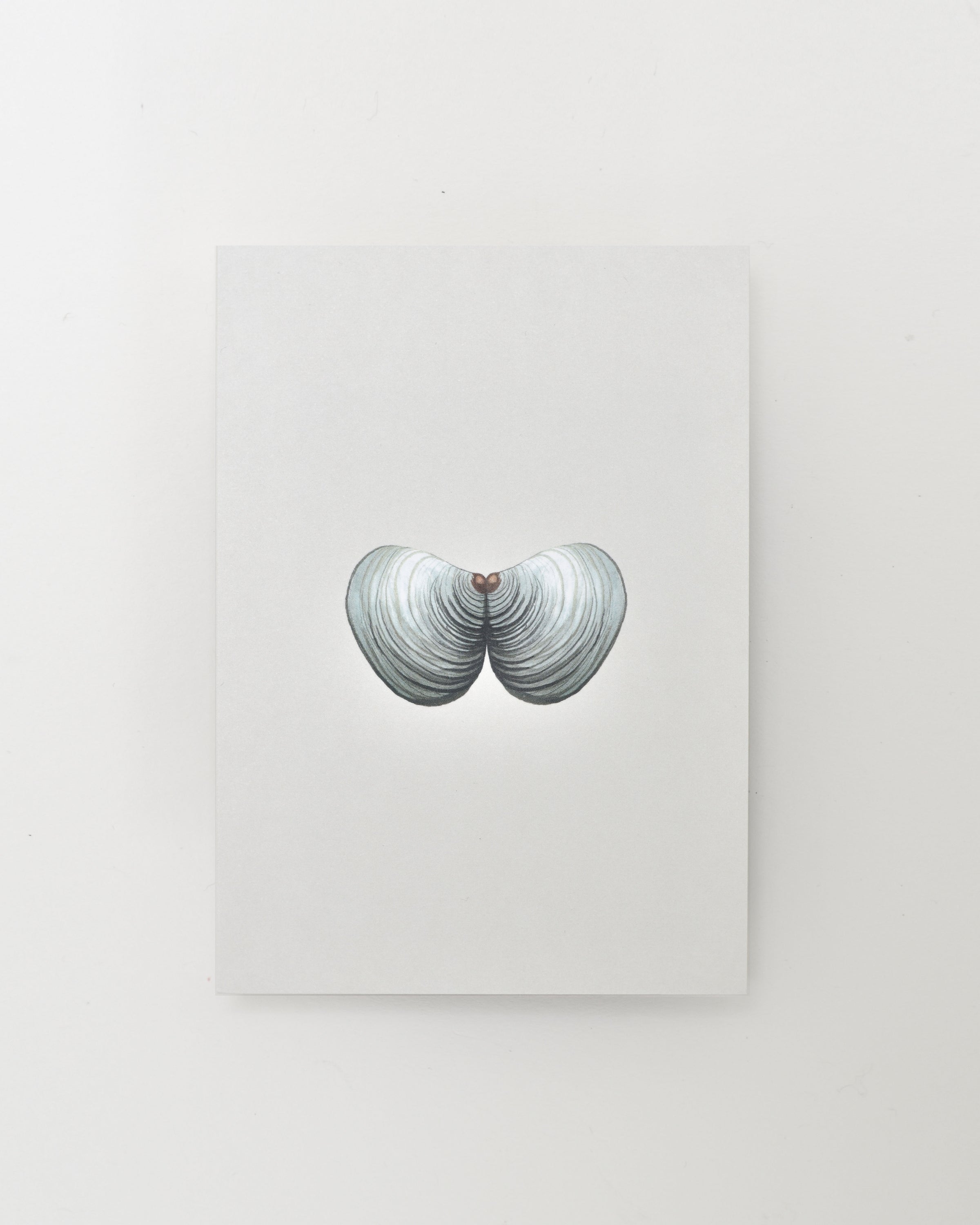 Wenskaart | Kokkels | A6