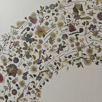 Flower art | Optica