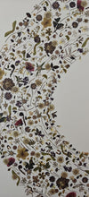 Flower art | Optica