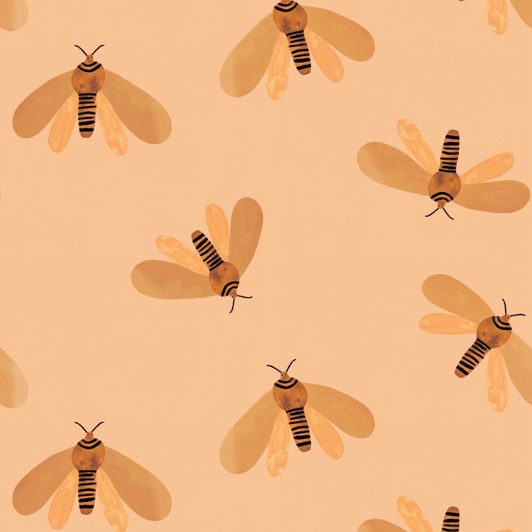 Behangstaal moth | Sun | Aniek Bartels