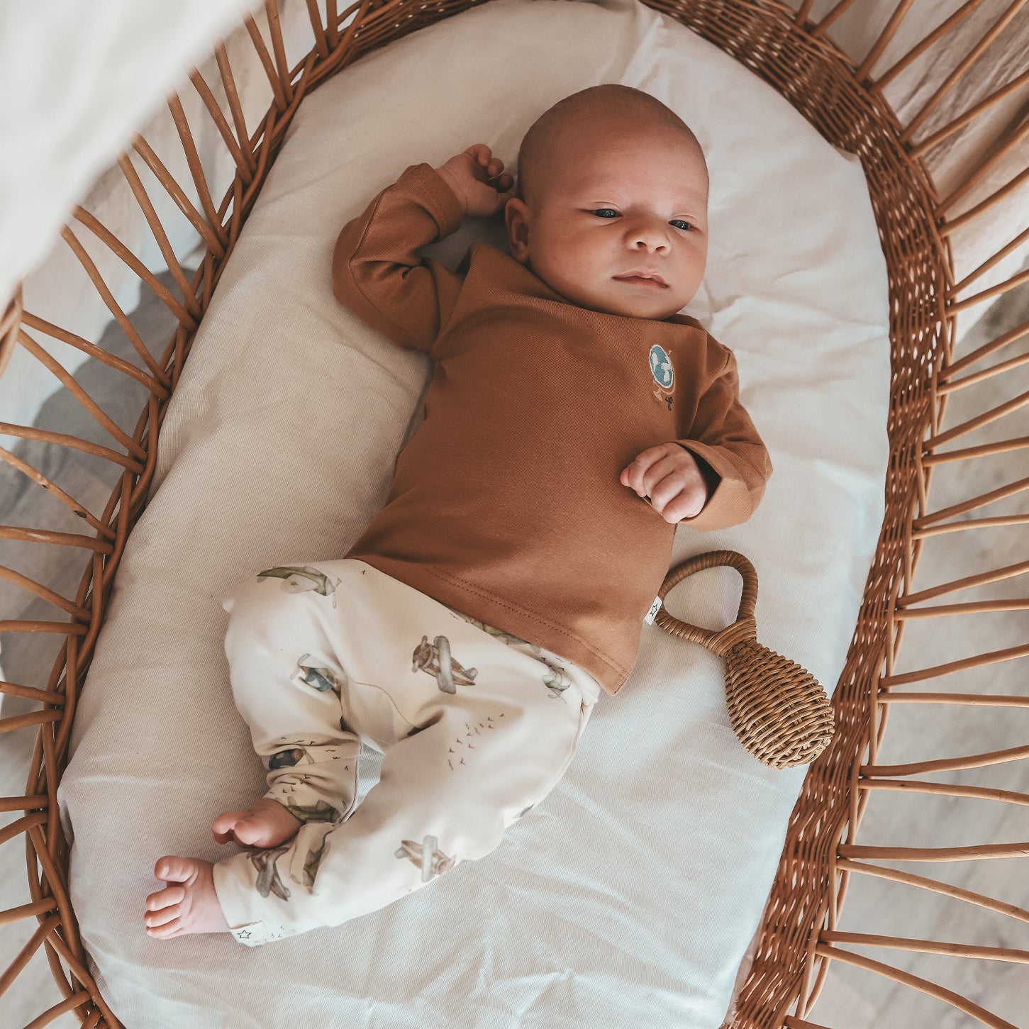 Longsleeve Solid | Indian tan