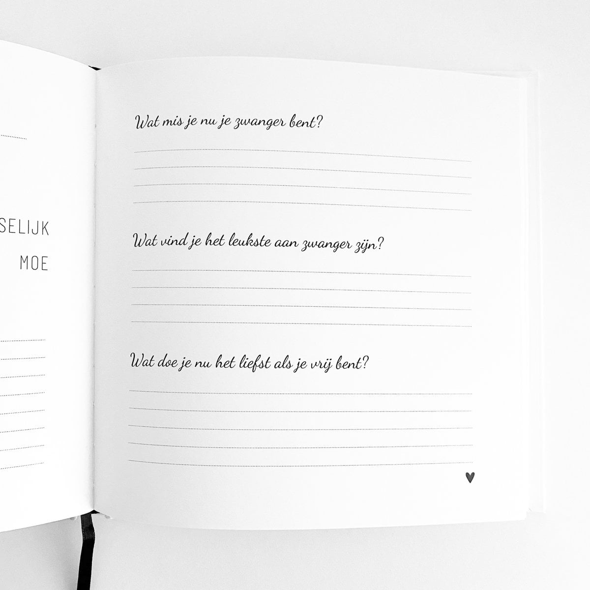 Invulboek | Zwanger | Mijn 9 maanden dagboek