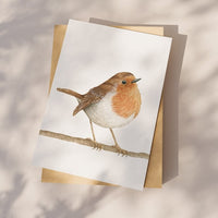 Wenskaart | Roodborstje