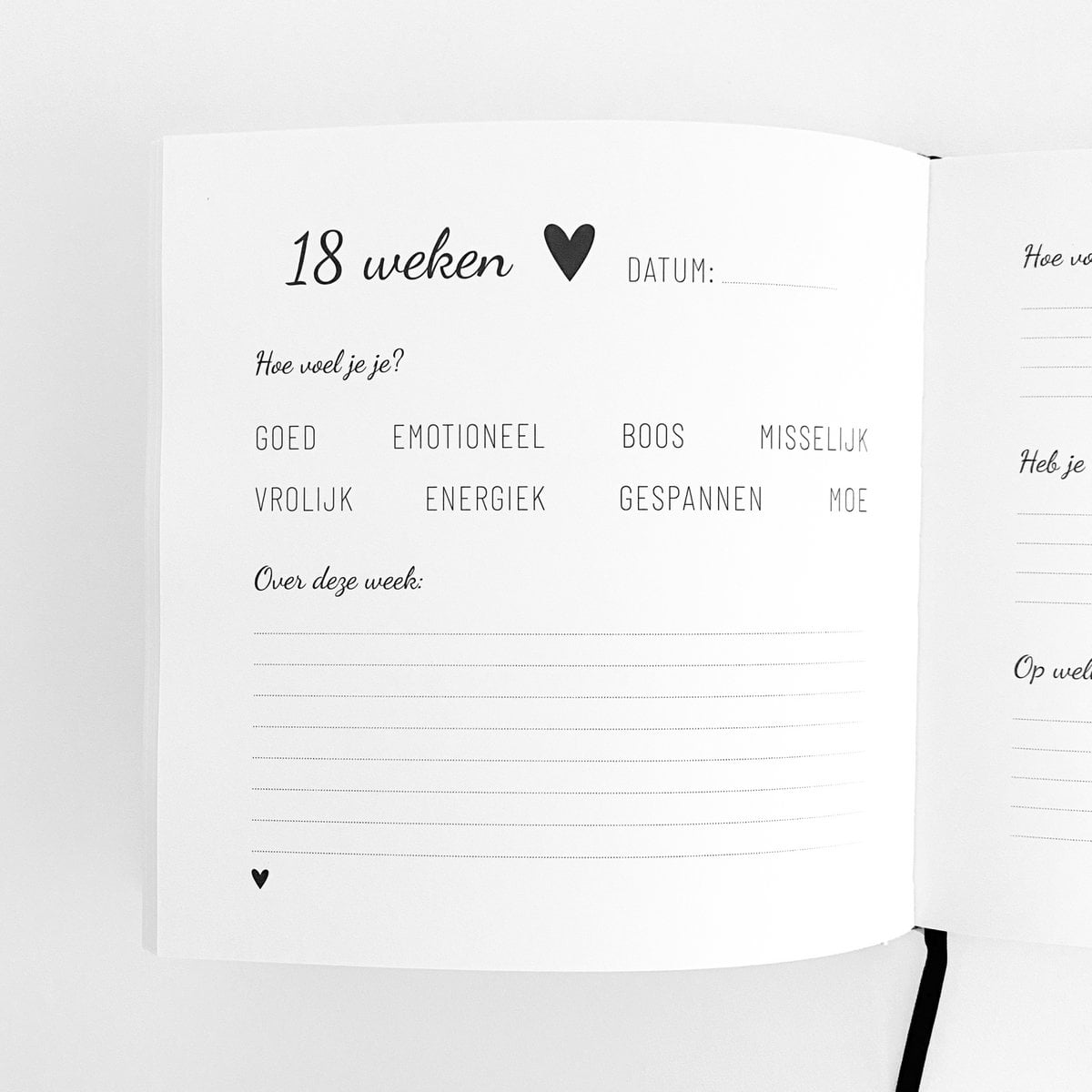 Invulboek | Zwanger | Mijn 9 maanden dagboek