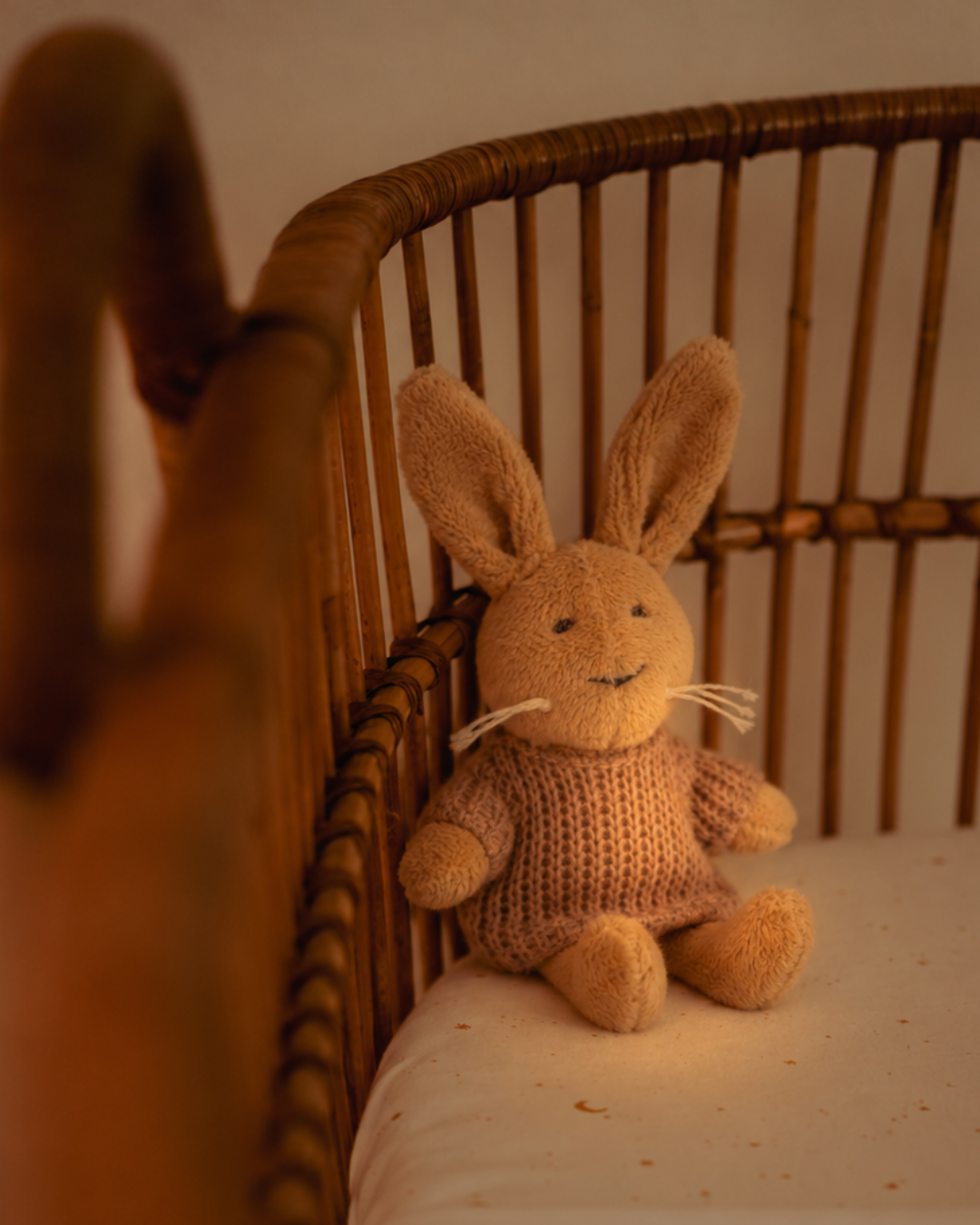 Pre-order | Knuffel | Lenny het konijn | 9 cm