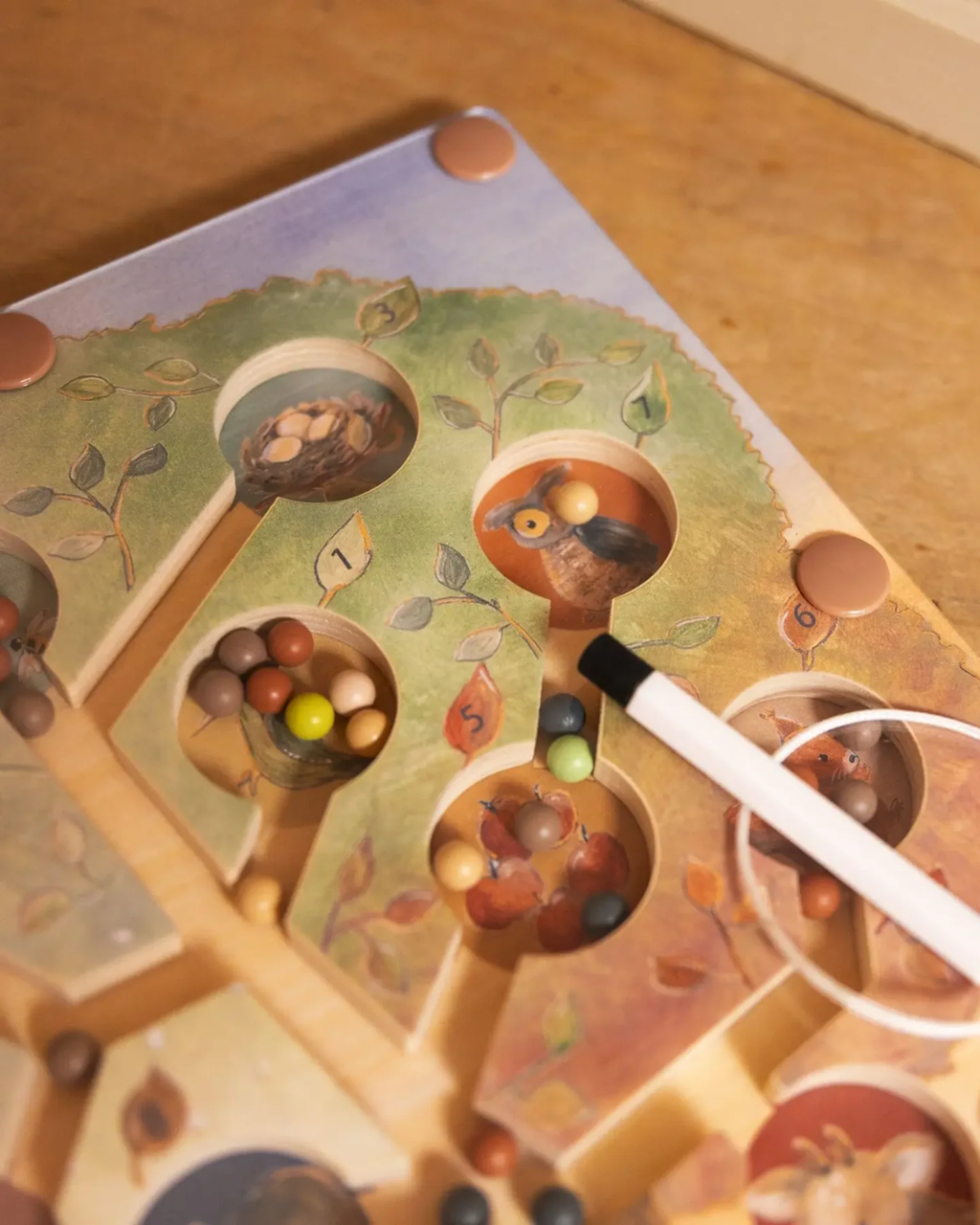 Pre-order | Magnetisch kleurendoolhof | Bosdieren