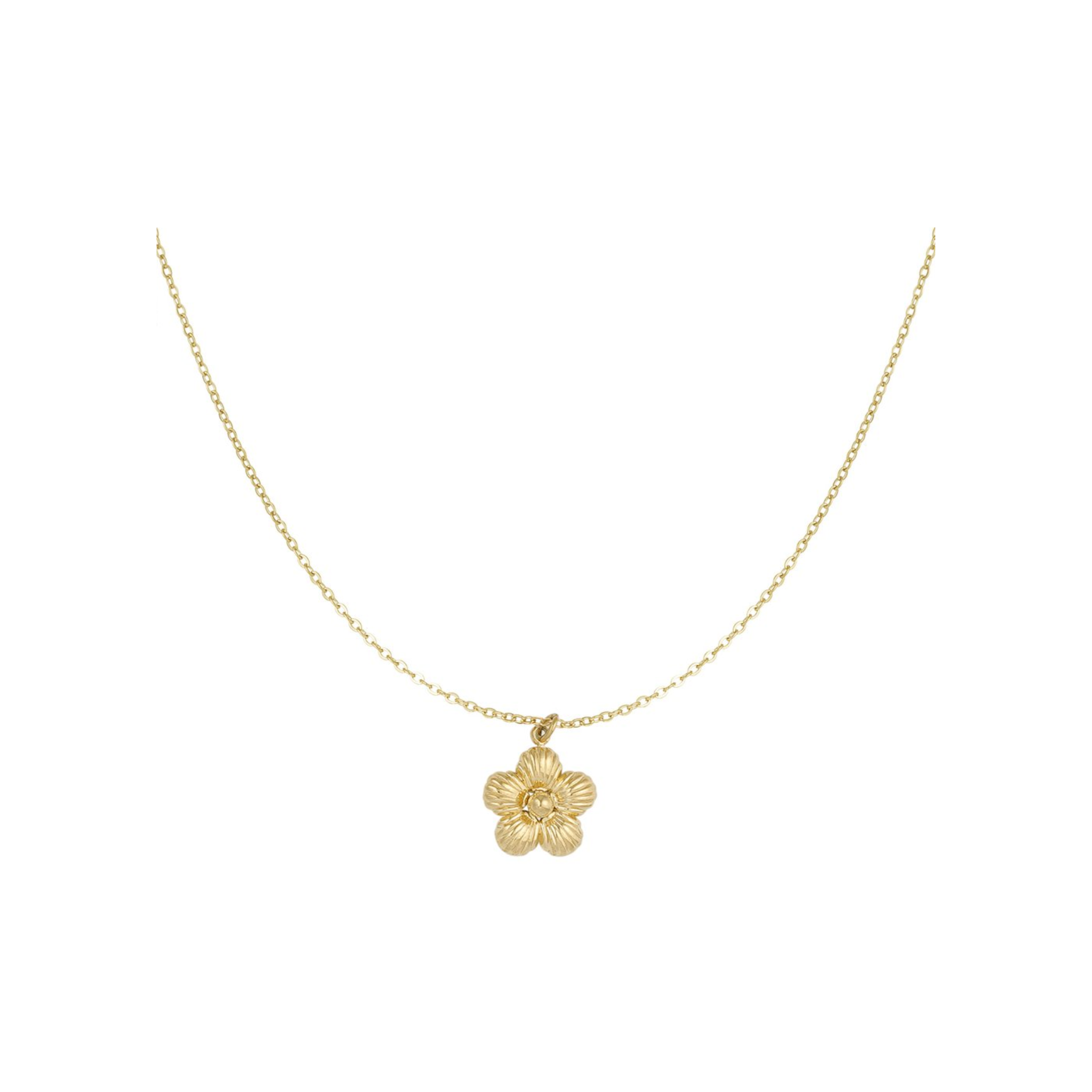 Ketting | Daisy | Goud