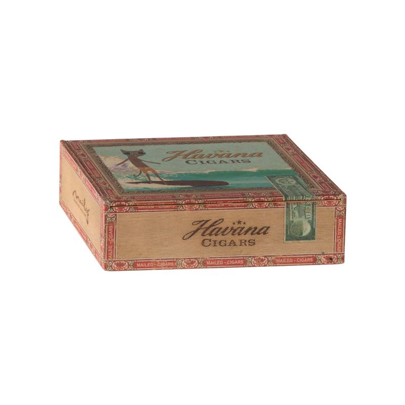 Pre-order | Mum and dad mice in cigarbox