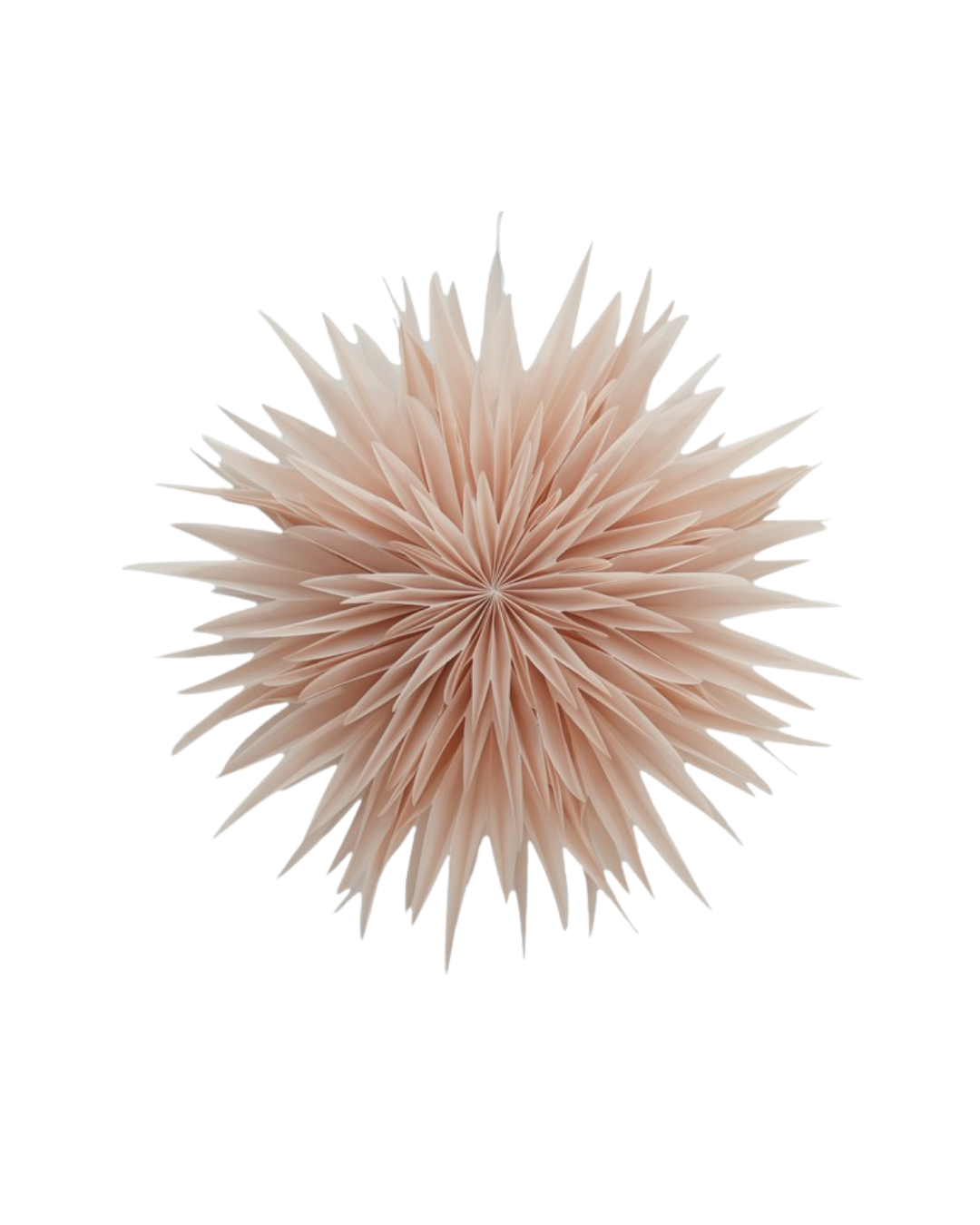 Pre-order | Papieren kerstster | 40 cm | Champagne