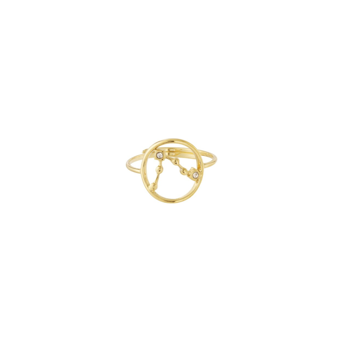 Sterrenbeeld ring | Vissen | Goud