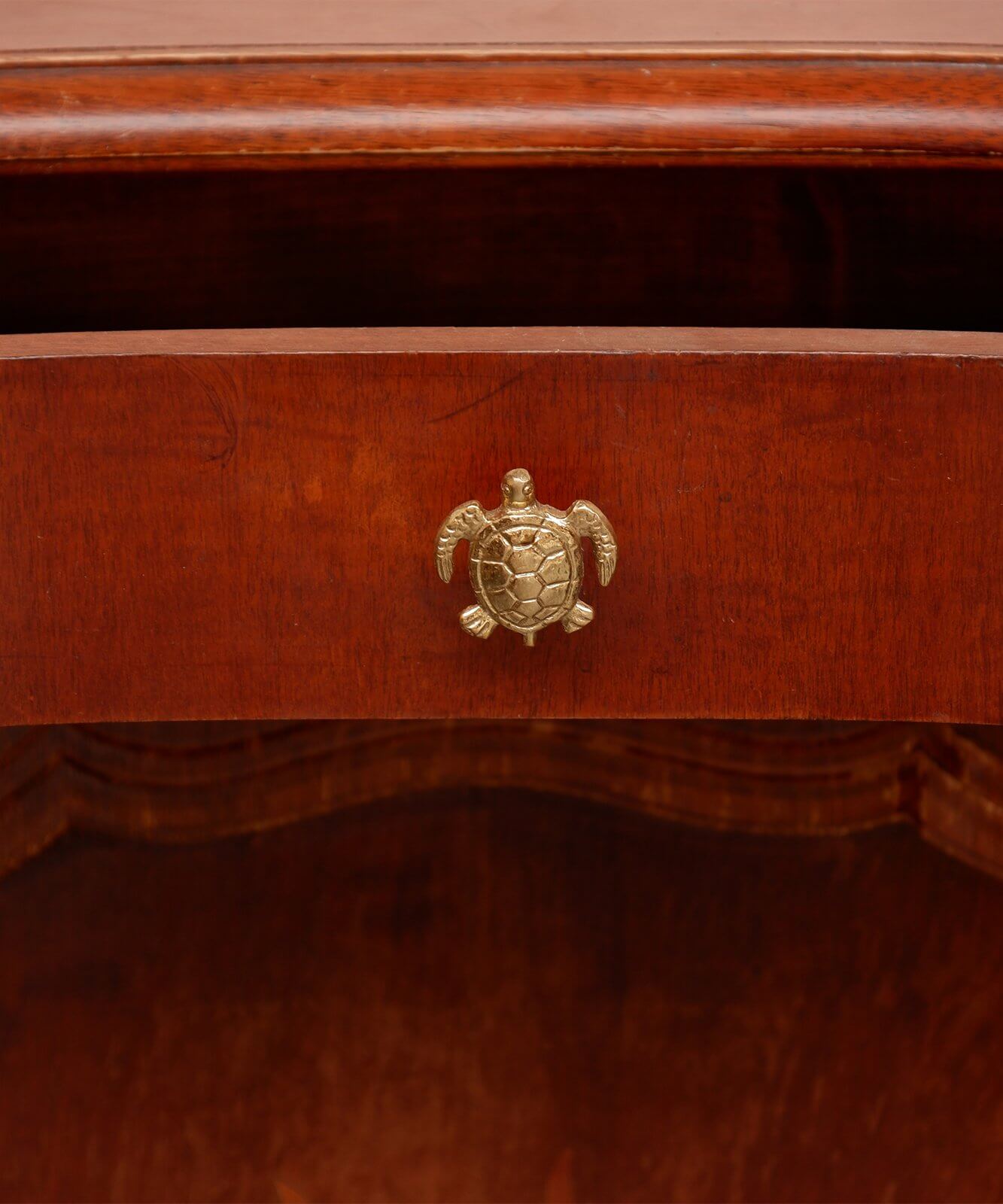 Meubelknop | Tommy Turtle