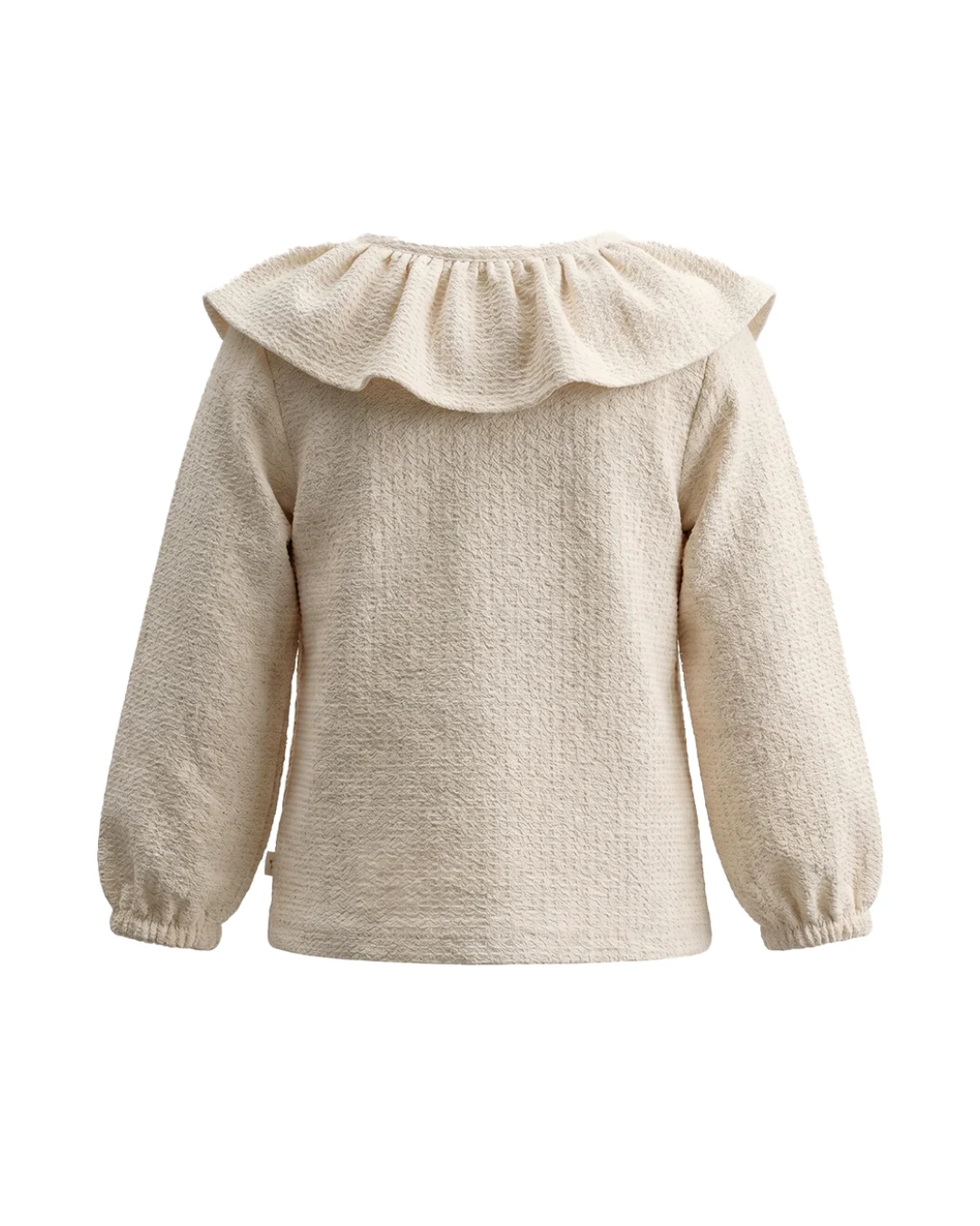 Pre-order | Meisjes longsleeve | Katoen | White swan